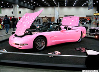 Strictly Vettes Walk Aganist Breast Cancer 2012